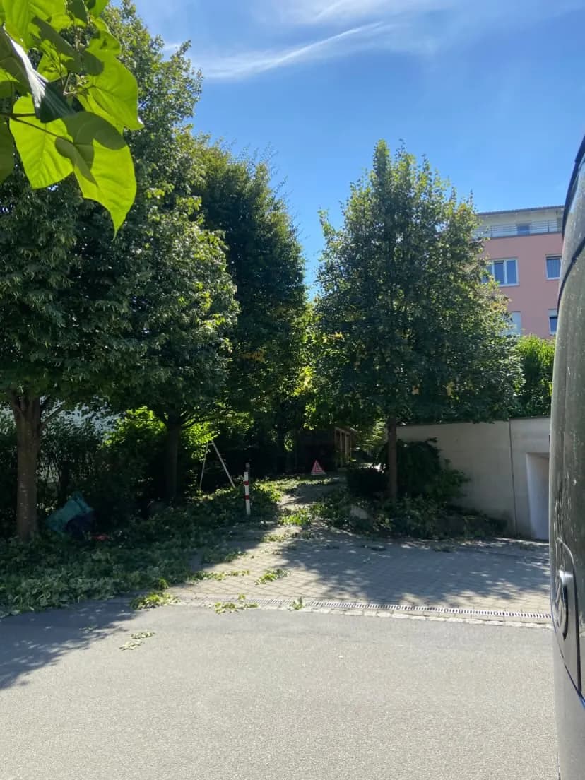 Baumarbeiten im Wohngebiet mit geschnittenem Grüngut auf dem Weg